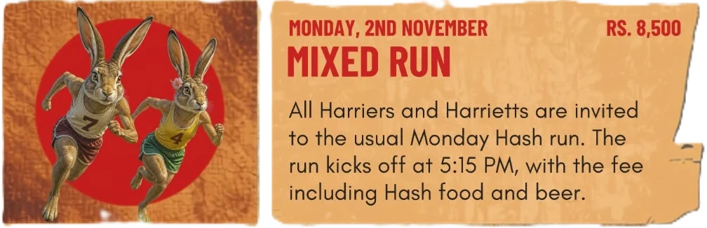 🐰🍻 CH3 HASH BASH 2026 – MIXED HASH RUN 🍻🐰 flyer